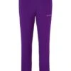 SPYDER KIDS SPEED FLEECE PANT MAJESTY