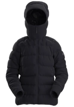 ARCTERYX WS THORIUM HOODY BLACK